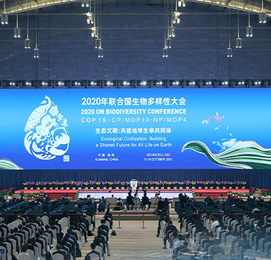 聯(lián)合國生物多樣性大會（COP15）