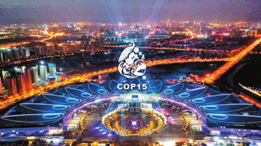 聯合國生物多樣性大會（COP15）
