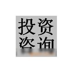 投資管理與咨詢 專(zhuān)業(yè)服務(wù)賦能企業(yè)資本戰(zhàn)略