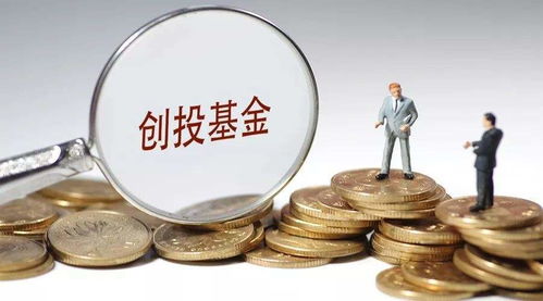 資本新布局 達晨創投入股河南文投旗下懷樸投資，加速文化產業投資版圖擴張